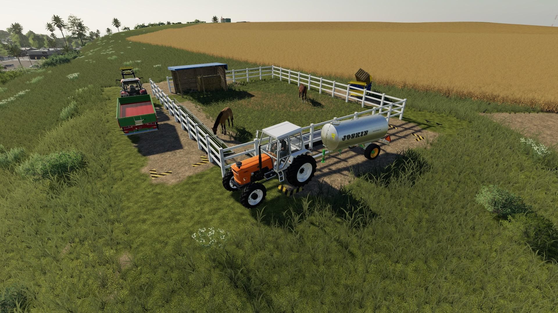 Small horse paddock