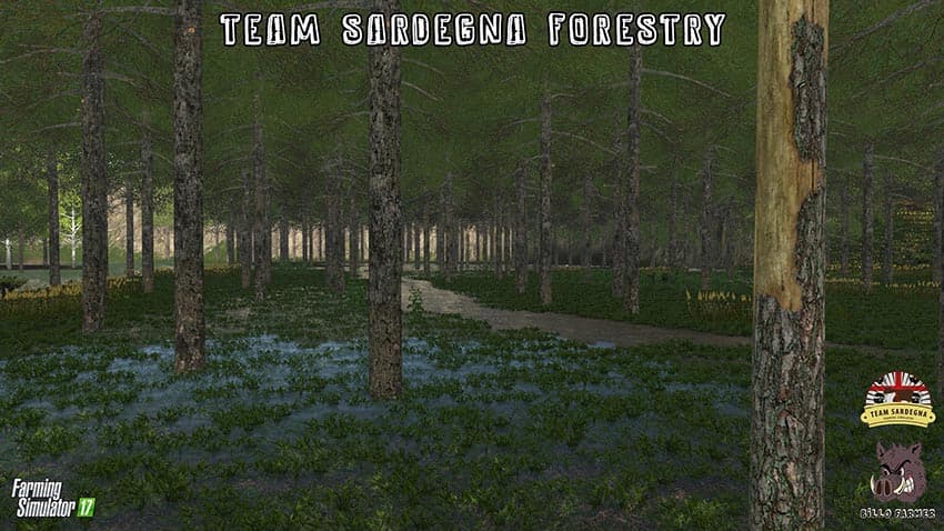 TEAM SARDEGNA FORESTRY - SEASON READY