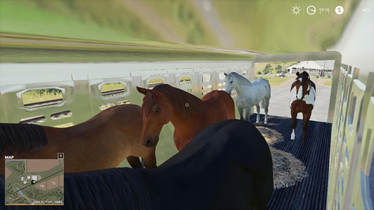 Wilson Ranch Hand Livestock trailer