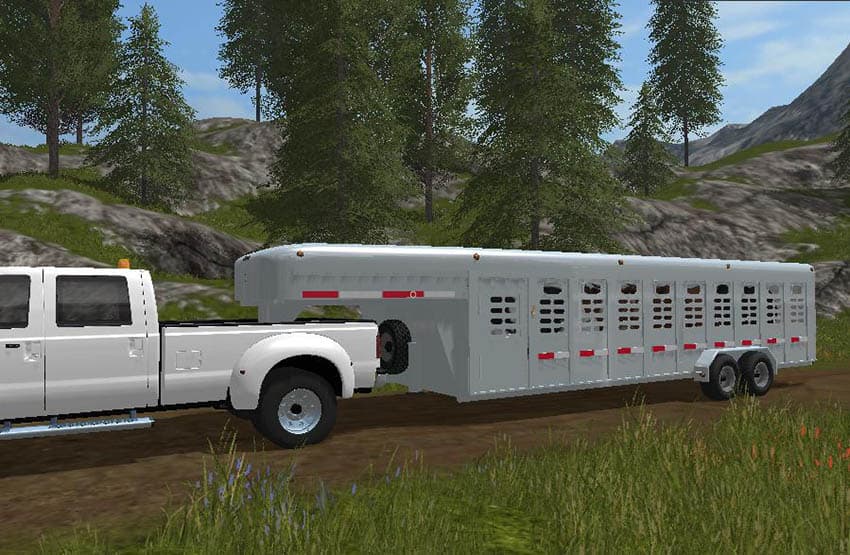 Wilson Ranch Hand