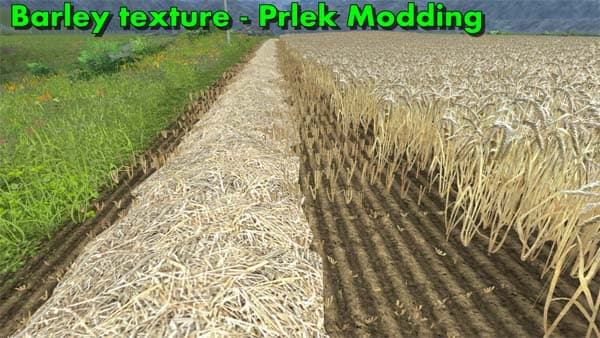 Windrow texture Wheat & Barley