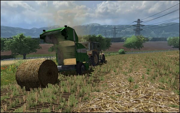 Big Polish Farm