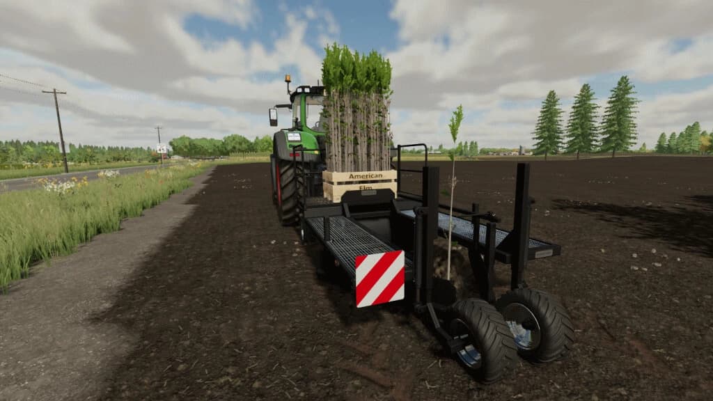 TREE SAPLING PACK