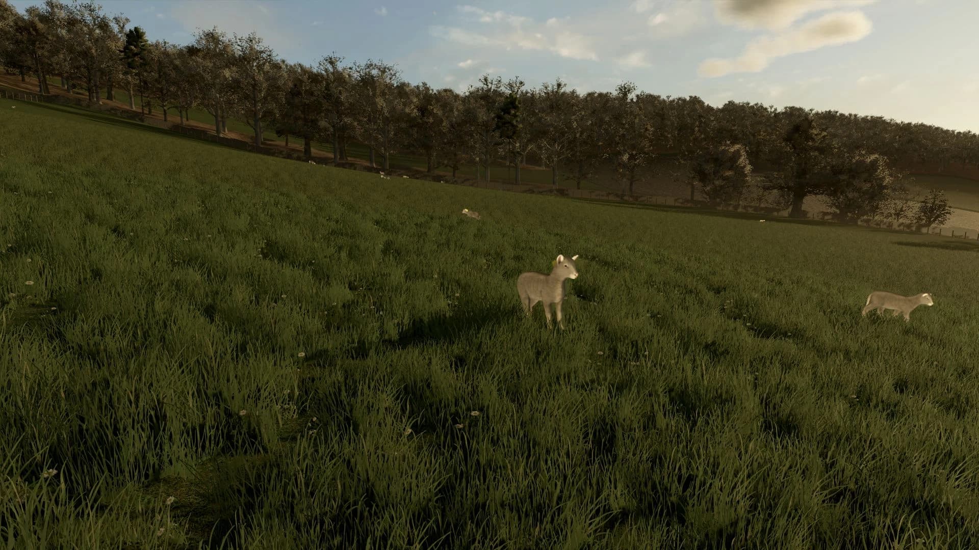 Animal Ground Placement Fix