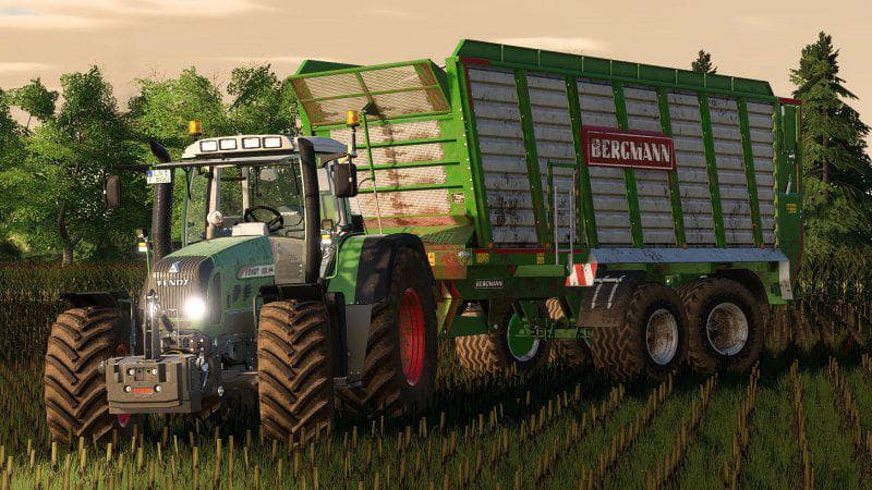 BERGMANN HTW 35