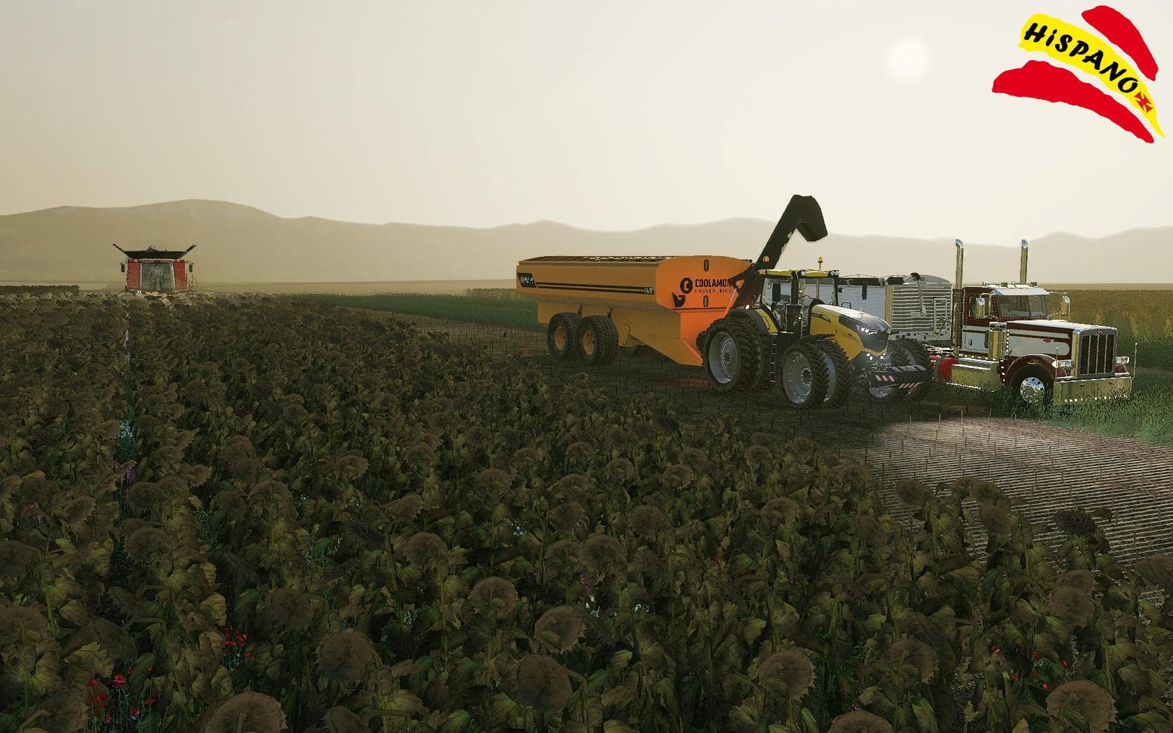 COOLAMON CHASER BINS 45T