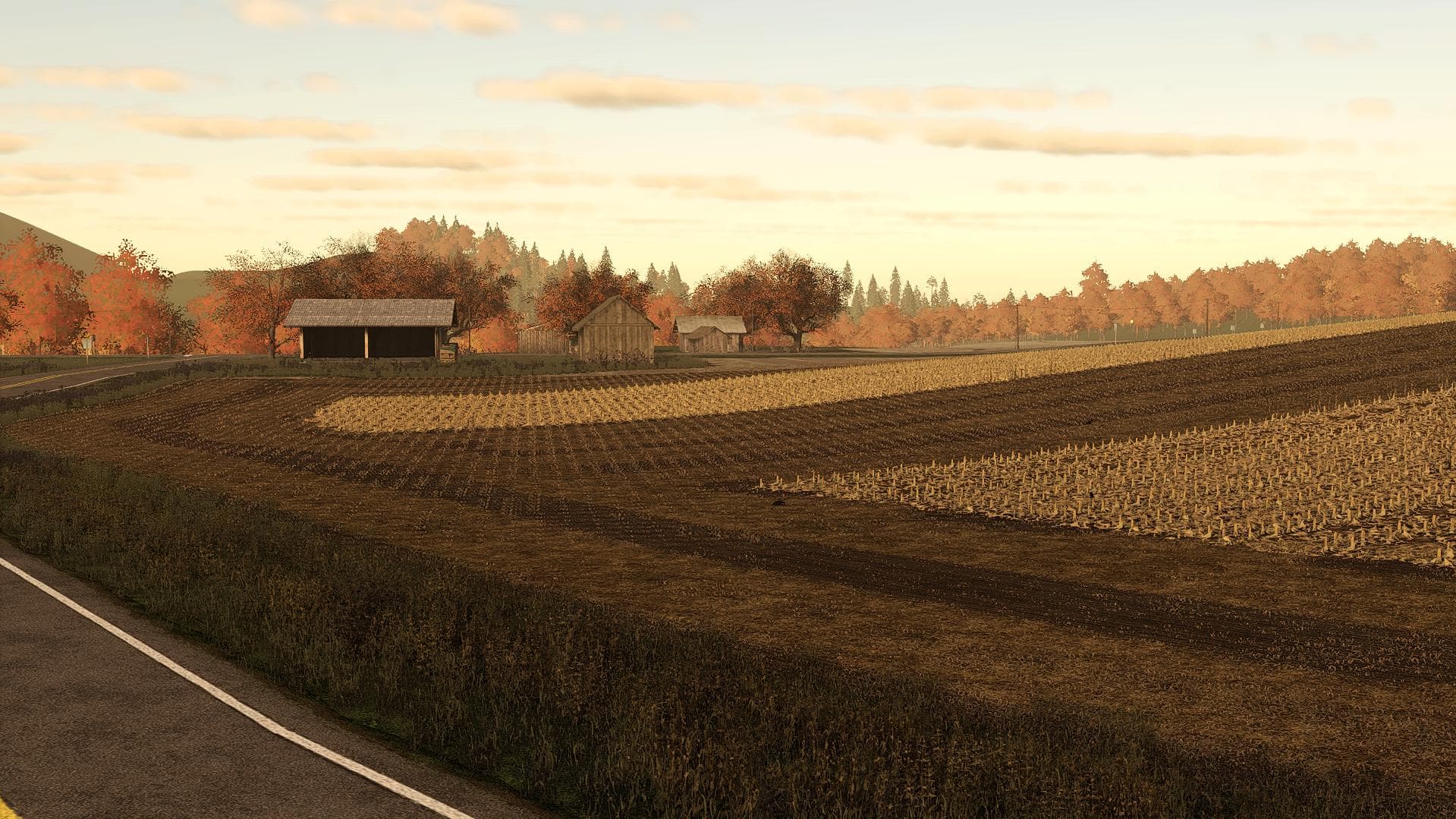 CORN & SOYBEANS