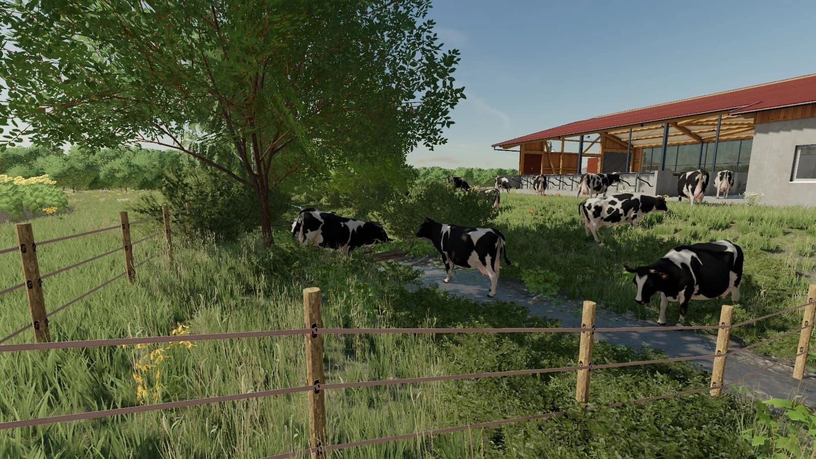 COWBARN MEDIUM