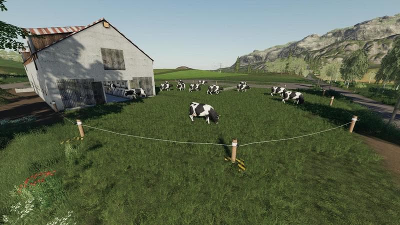 COWS PRODUCE A LOT OF MILK