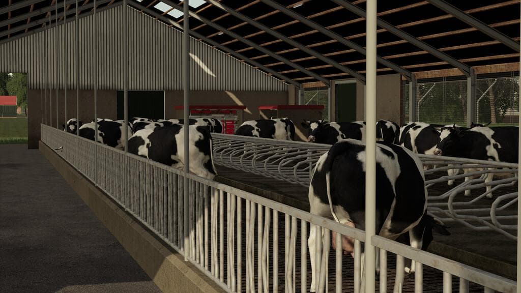 COWSHED 3+0