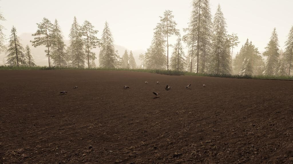CROWS SOUND FIX