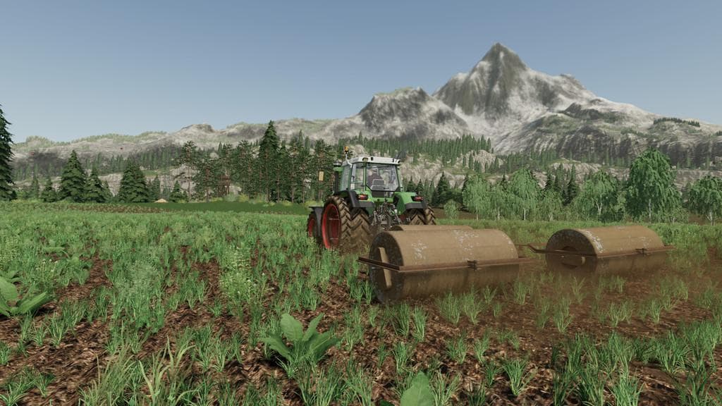 Concrete Meadow Rolls