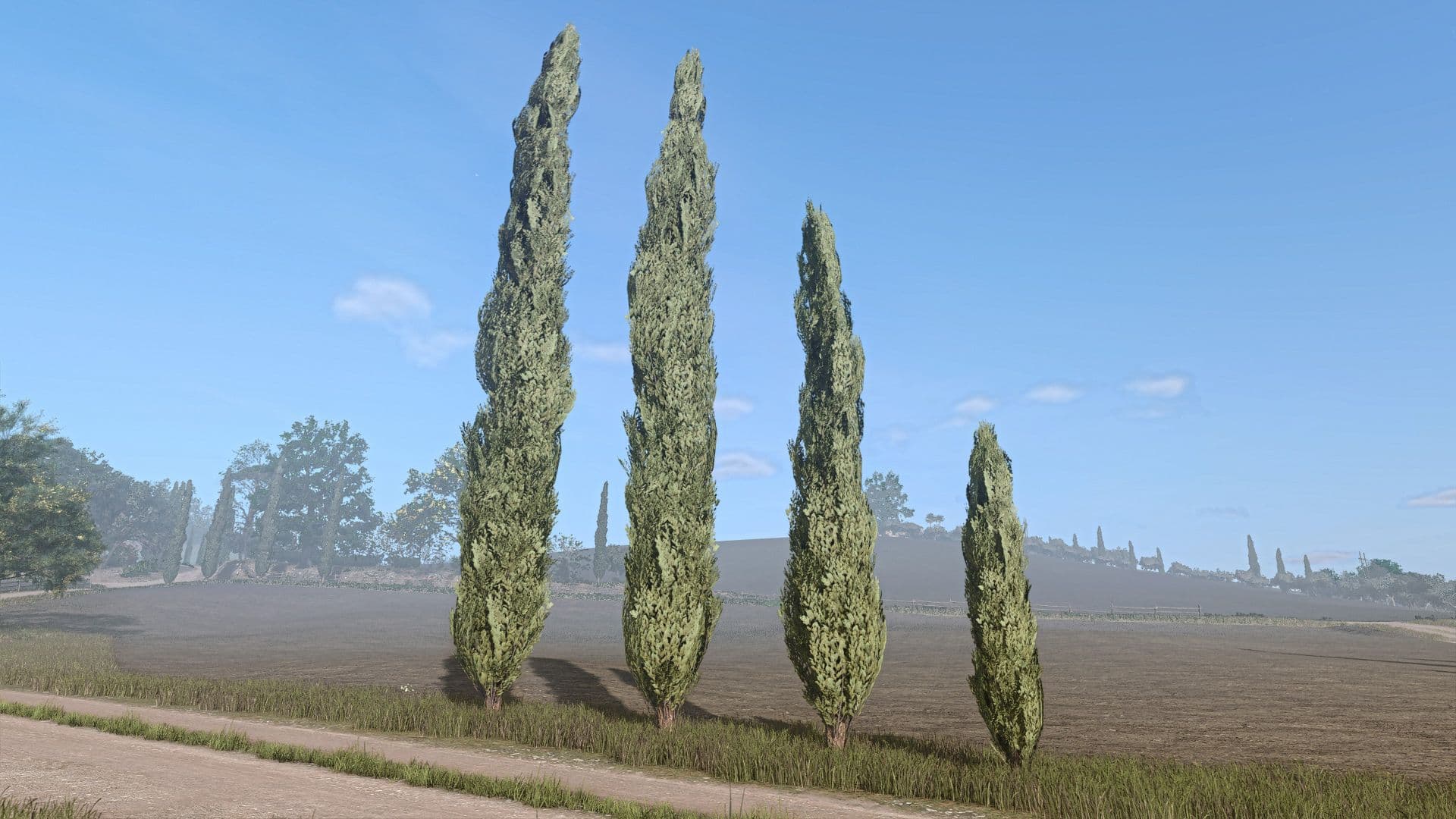 Cypress