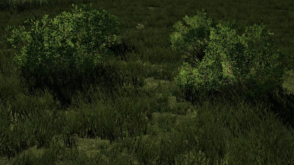 DECORATIVE BUSHES