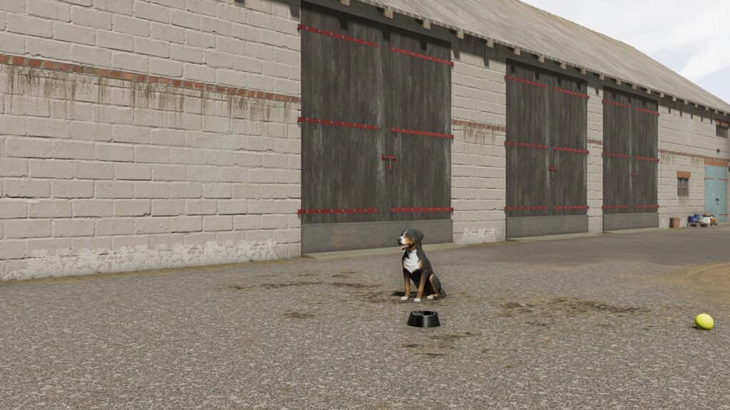 DOG WITHOUT DOGHOUSE