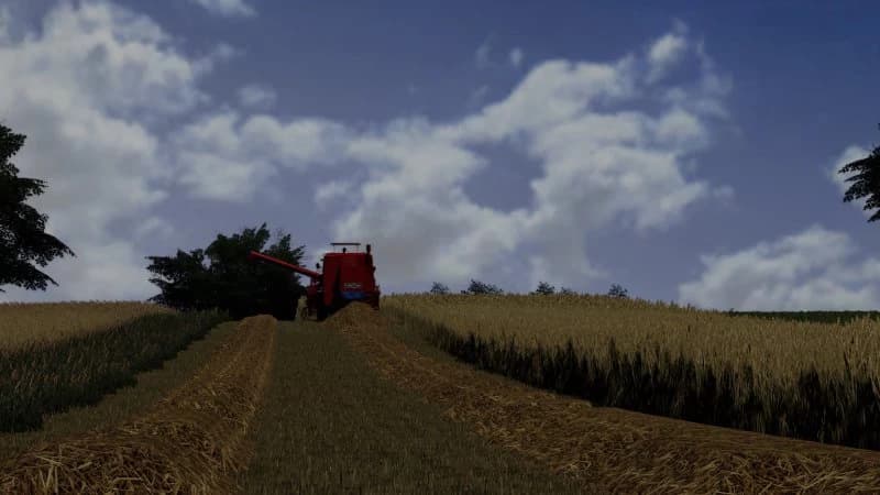 ENLARGED STRAW CROPS