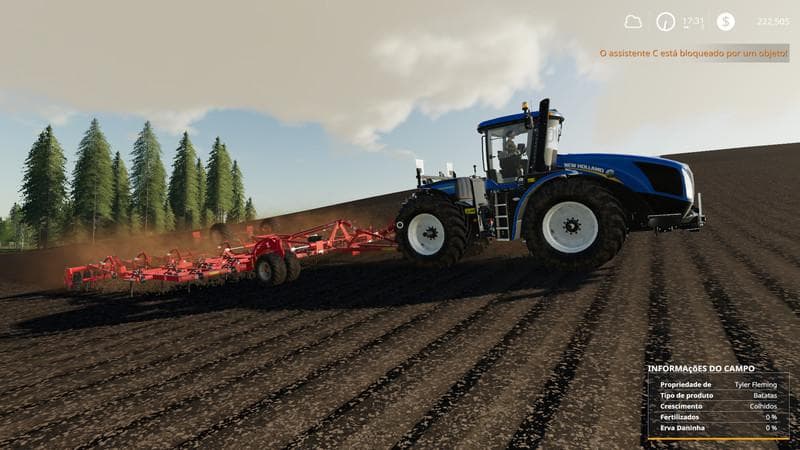 FARM BURITI