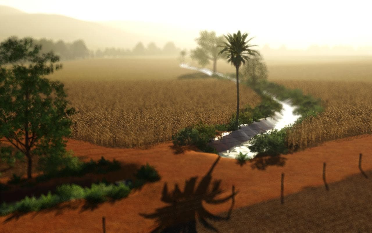 FAZENDA SANTA AMELIA