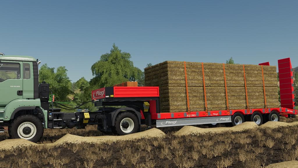 FLIEGL SDS350J