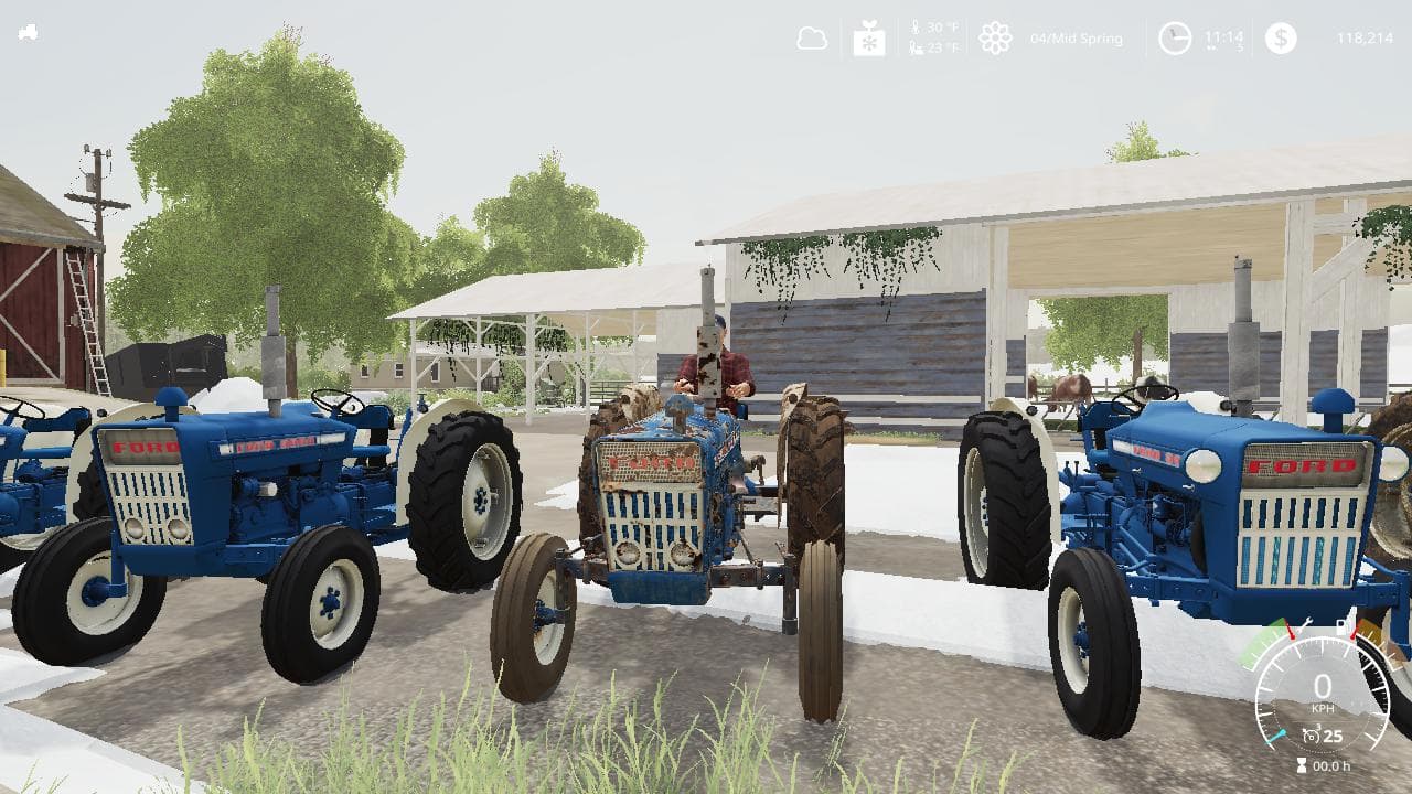 FORD 3000 EURO WORN