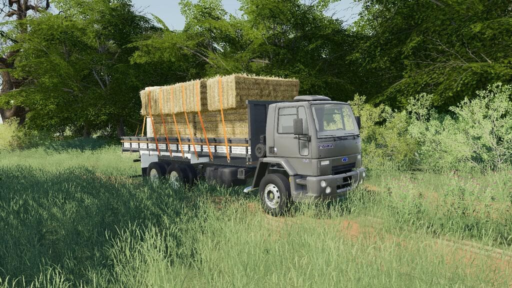 FORD CARGO SERIES BRAZIL