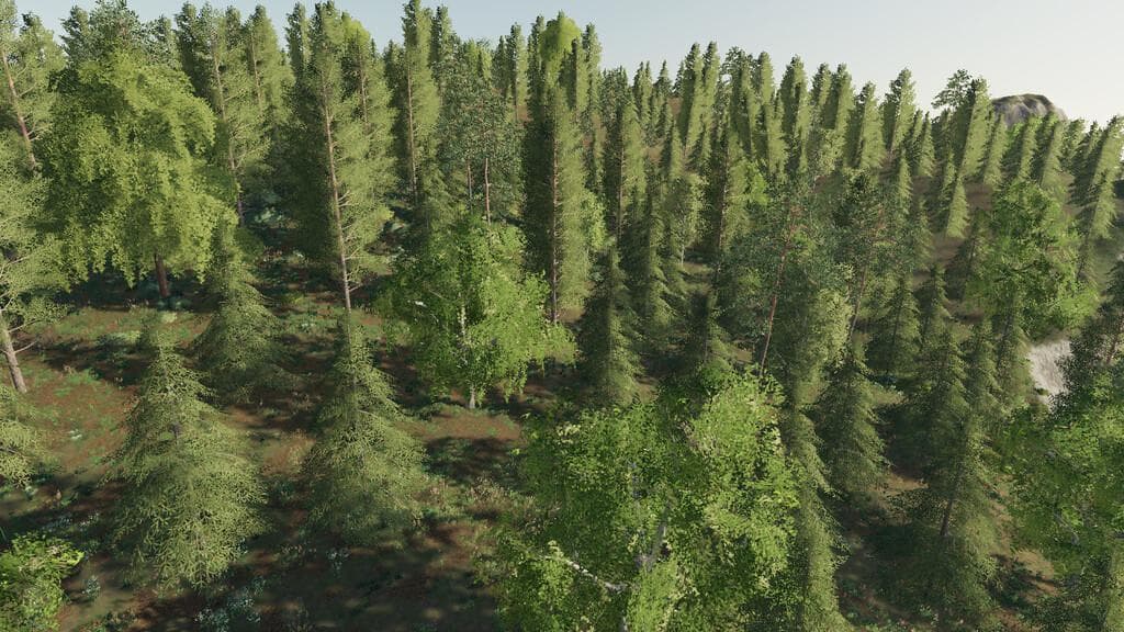 FOREST AND SAWMILL SOUNDS (PREFAB)