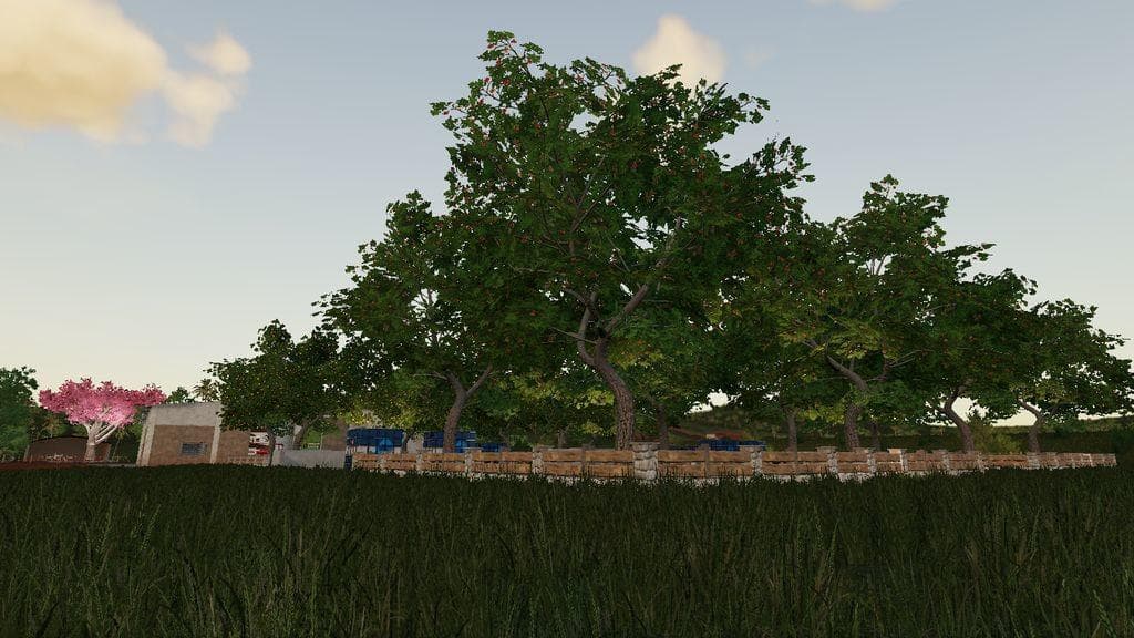FRUIT ORCHARDS