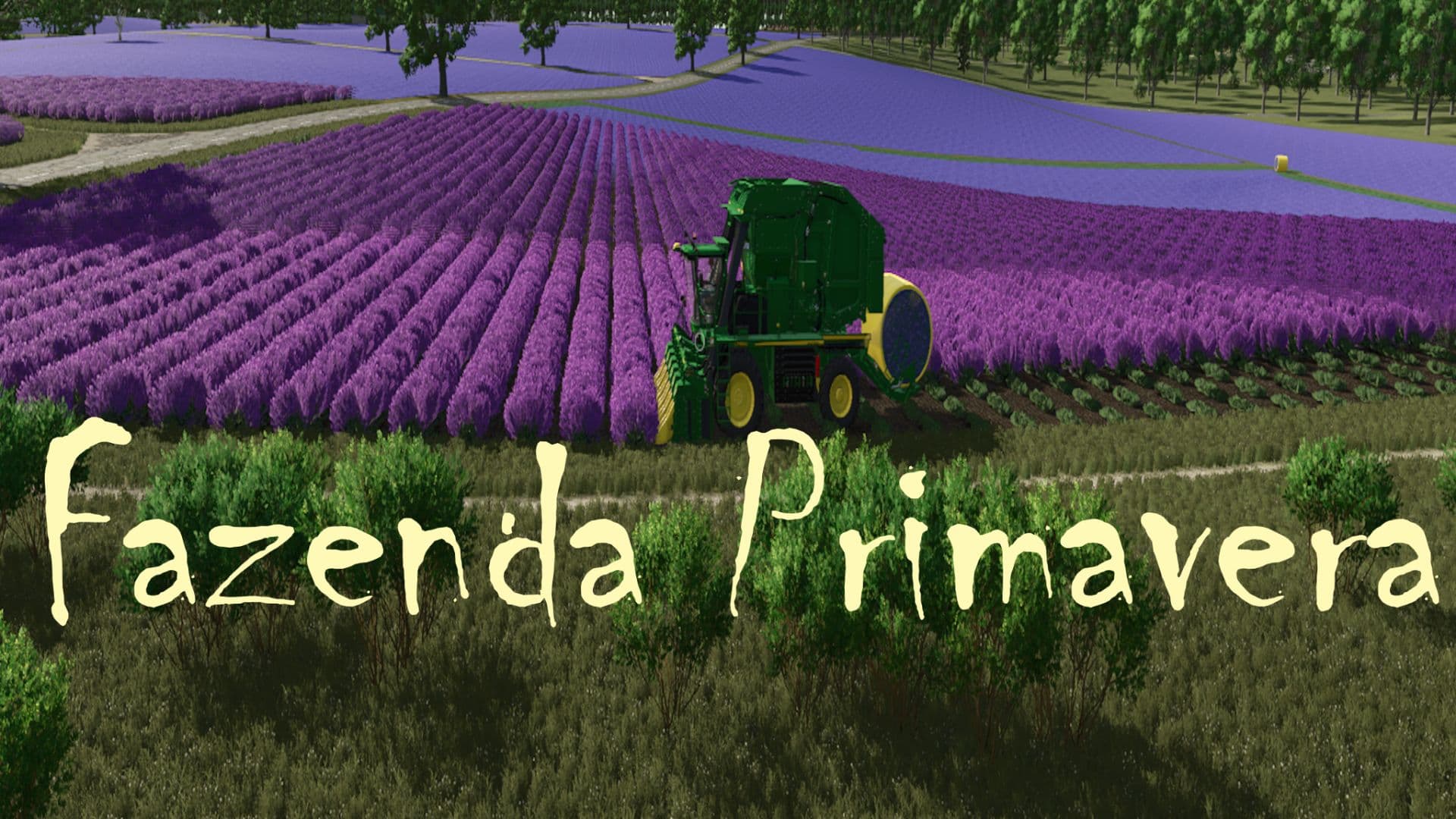 Fazenda Primavera