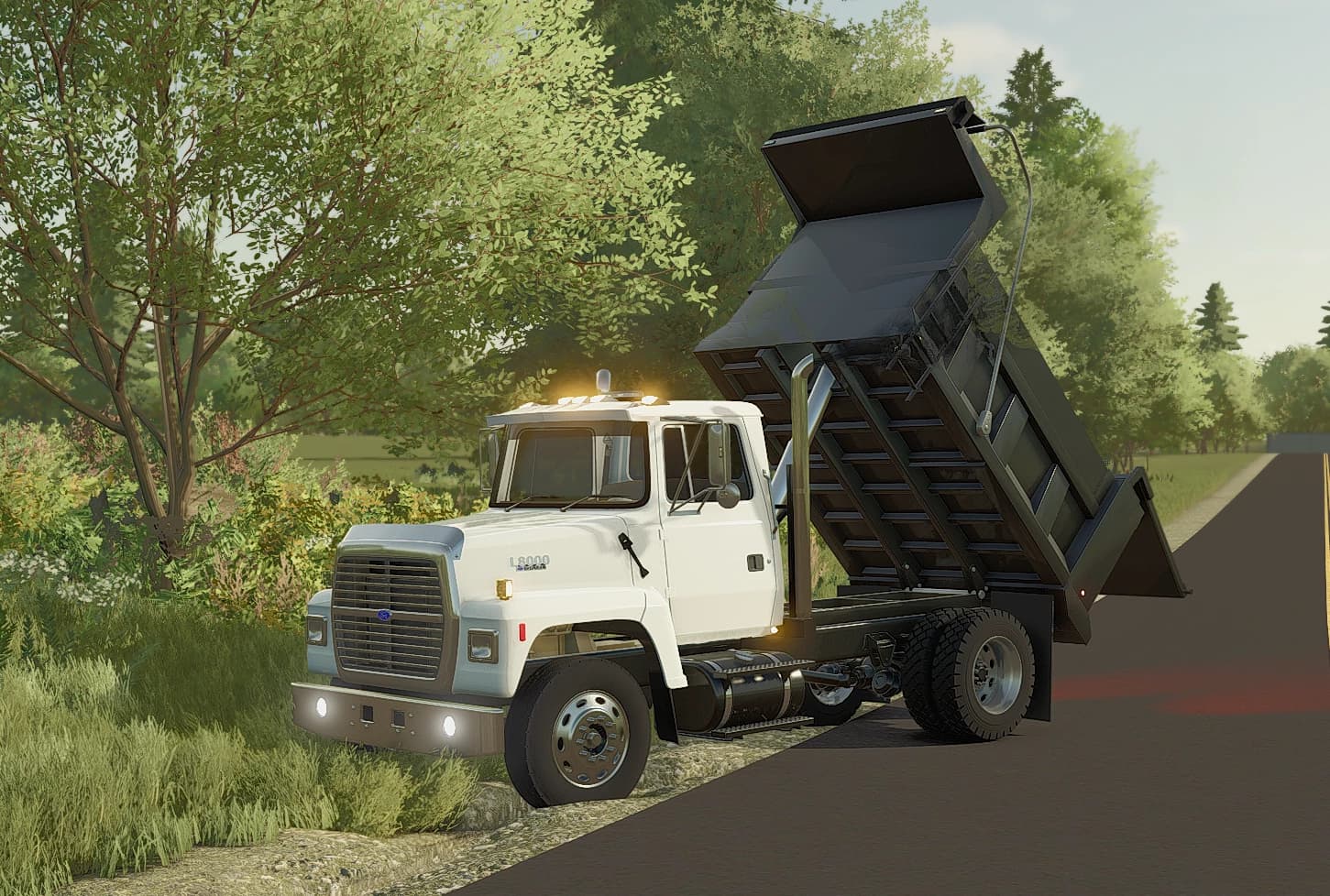 Ford Single Axle Dump Truck