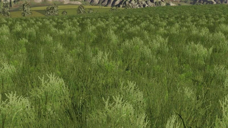 GRASS TEXTURE FOR FS19