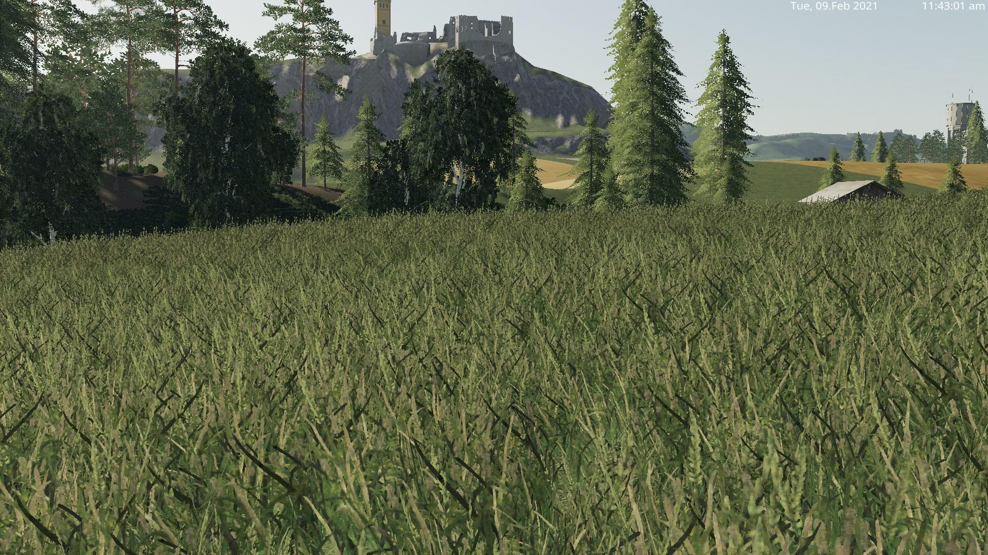 GRASS TEXTURE