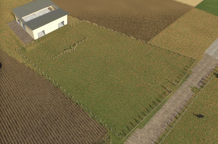 Grazing Pasture