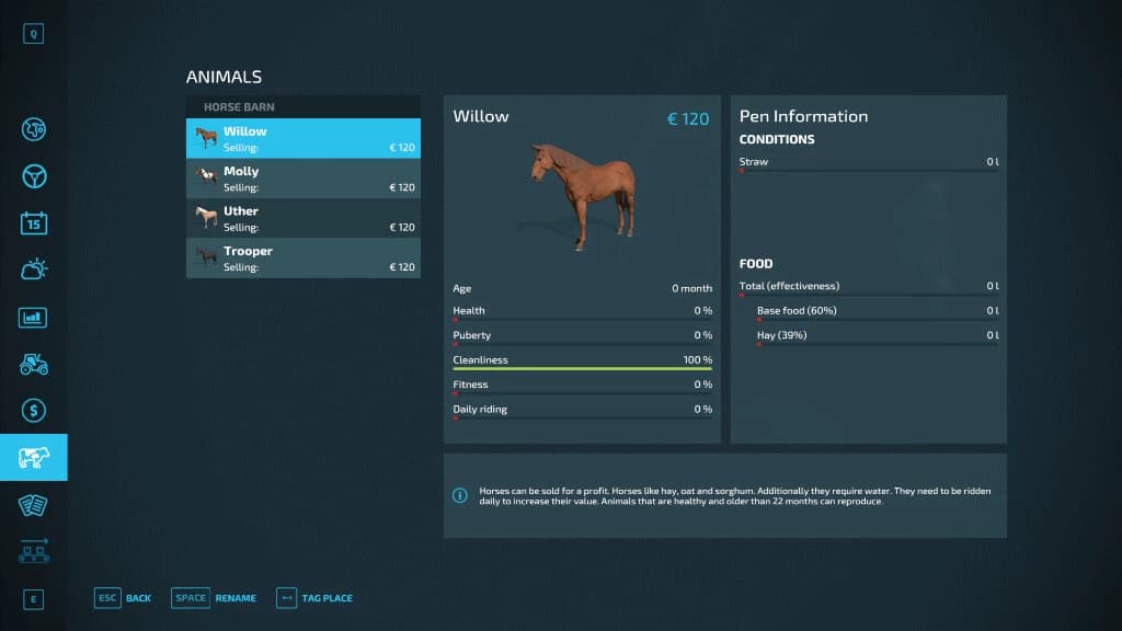 HORSE HELPER