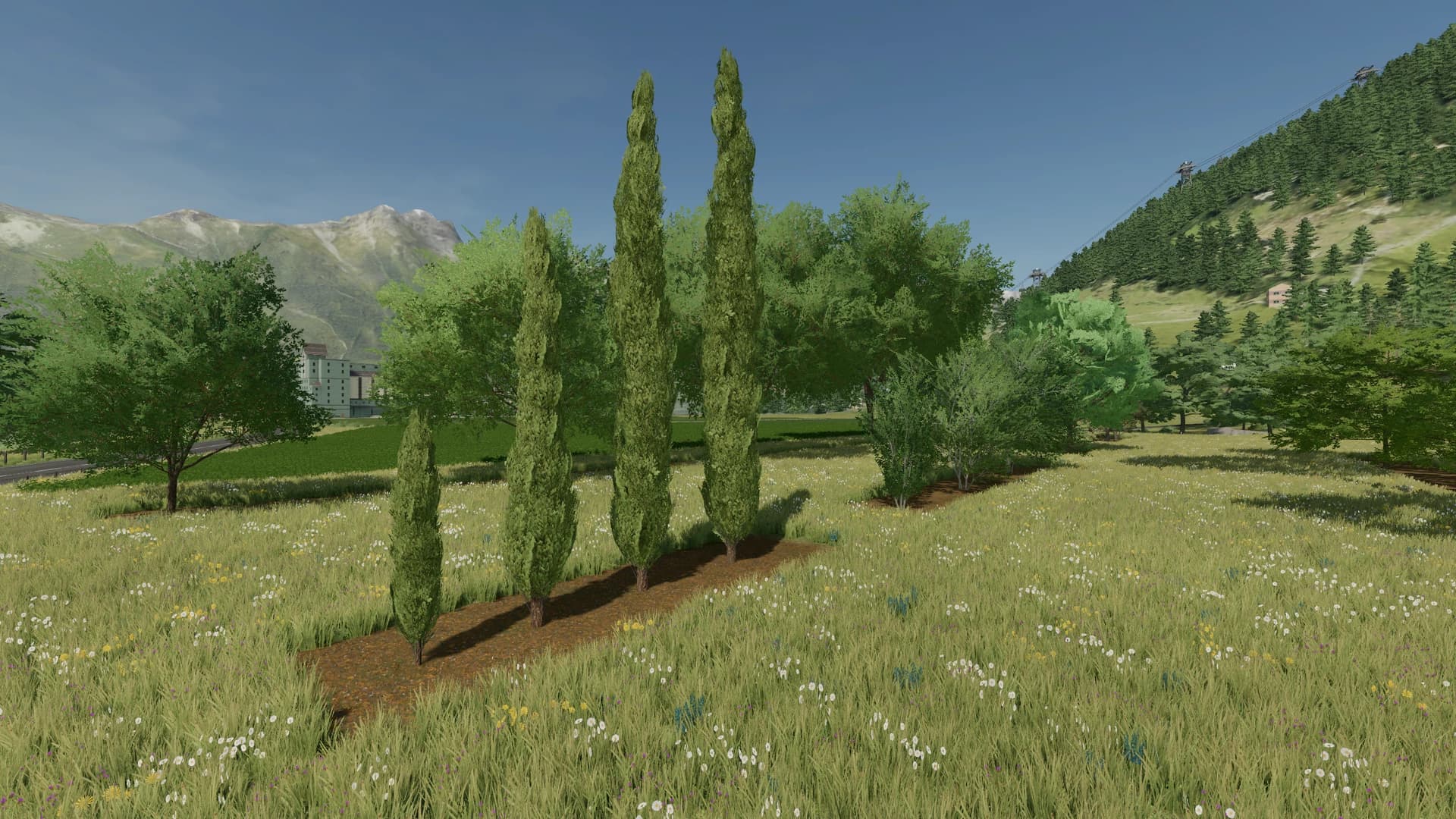 LANDSCAPING DE