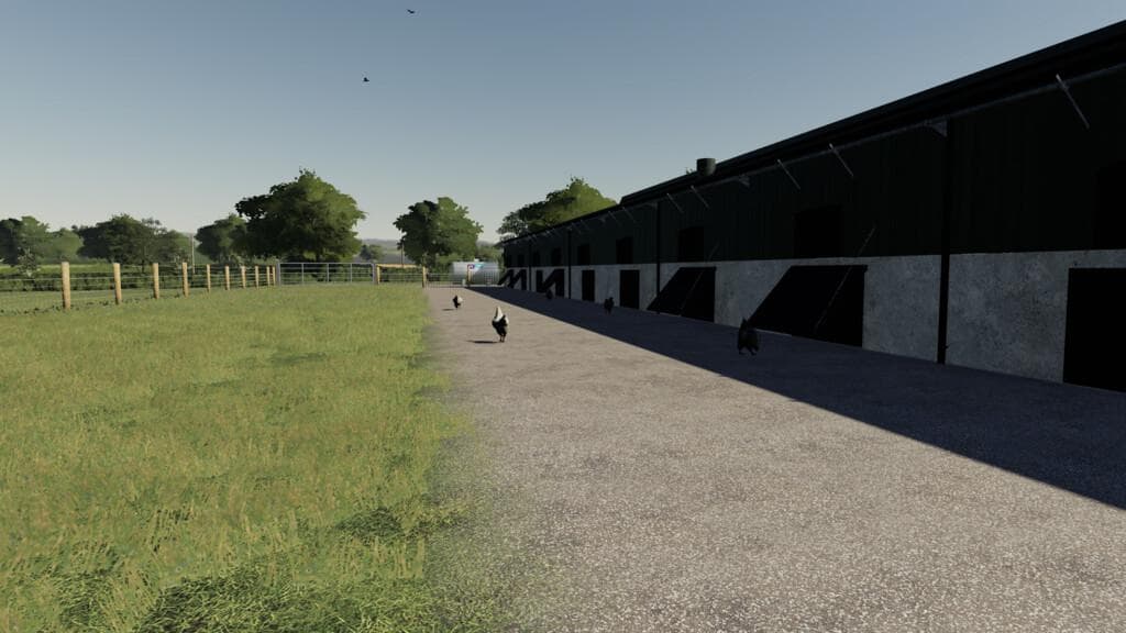 LARGE UK CHICKEN SHED