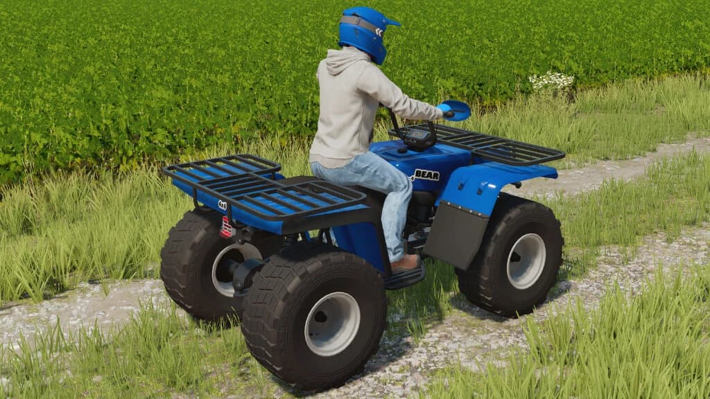 LIZARD QUAD BEAR