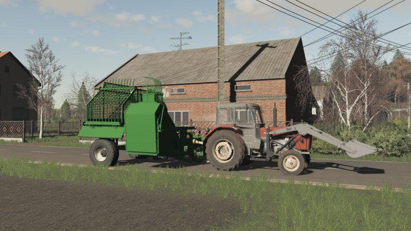 LIZARD Z 413
