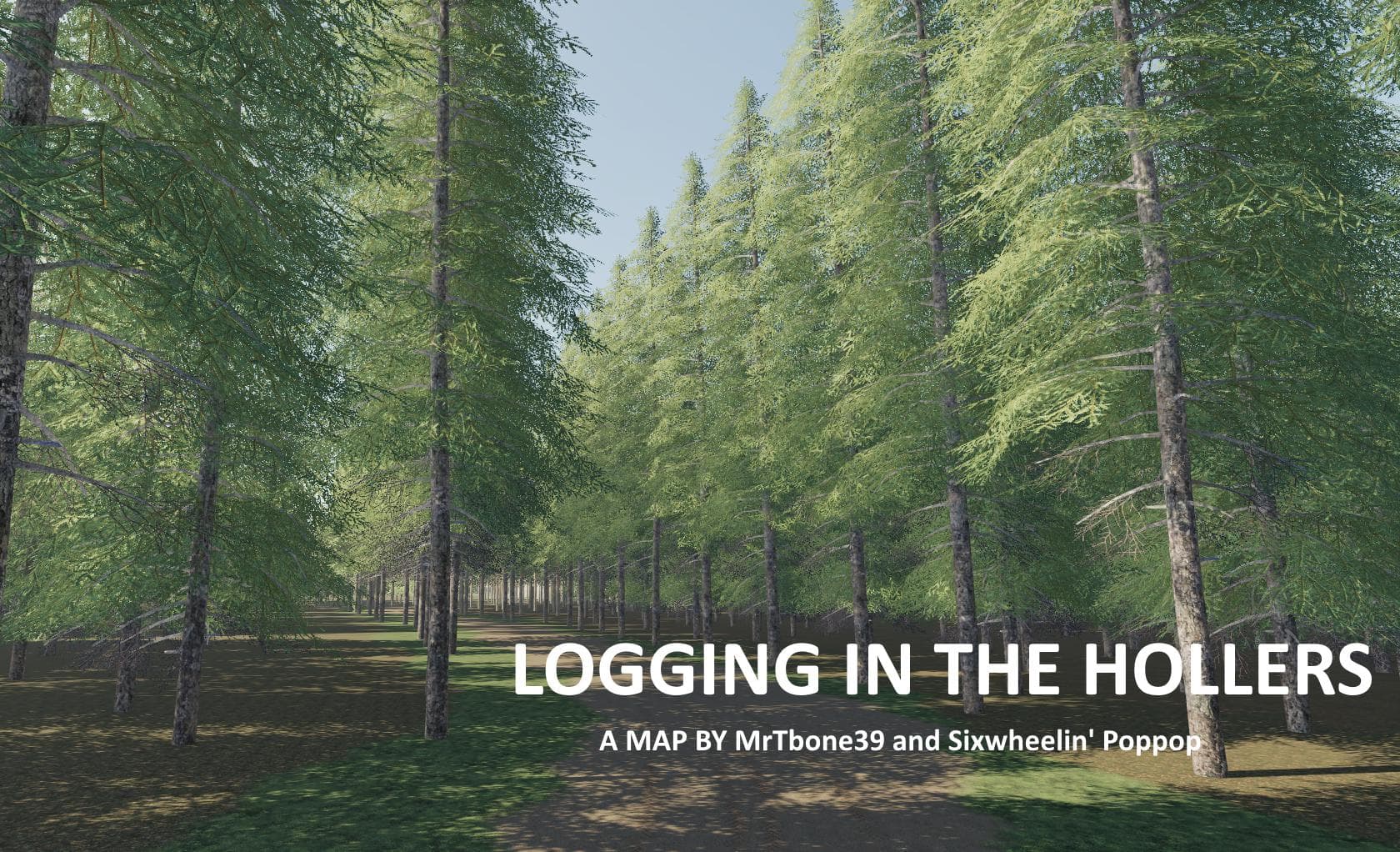 LOGGING IN THE HOLLERS