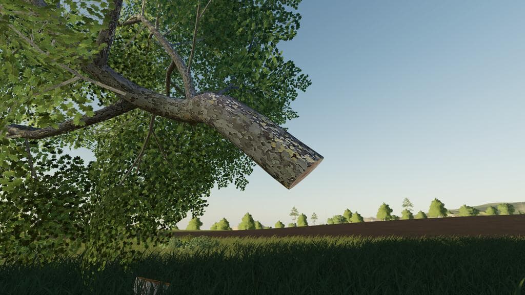 LUMBERJACK