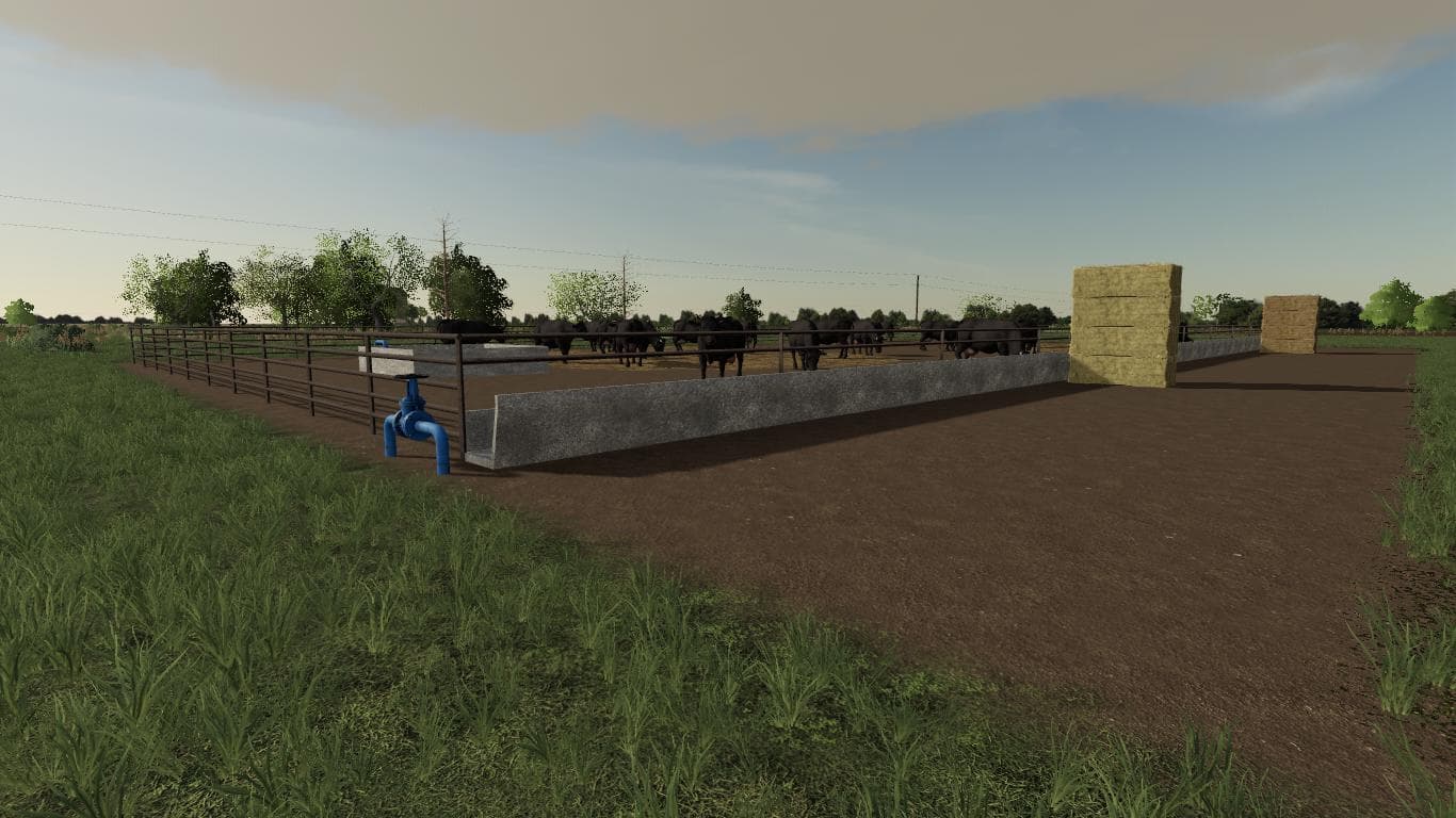 MEDIUM CATTLE FEED LOT
