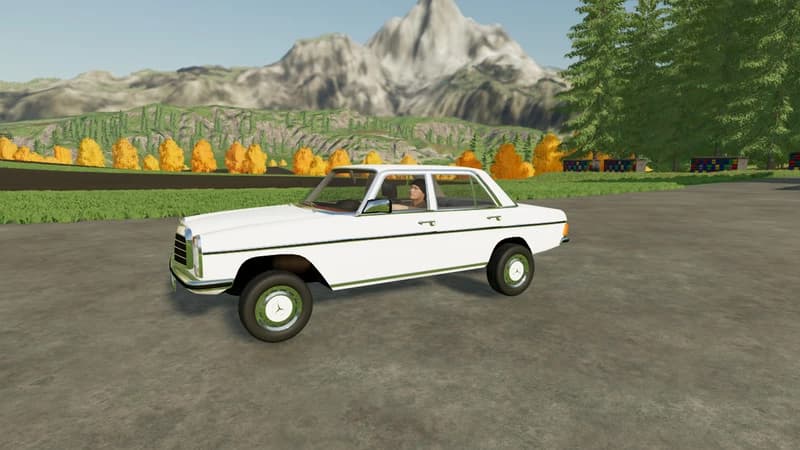 MERCEDES BENZ 220D