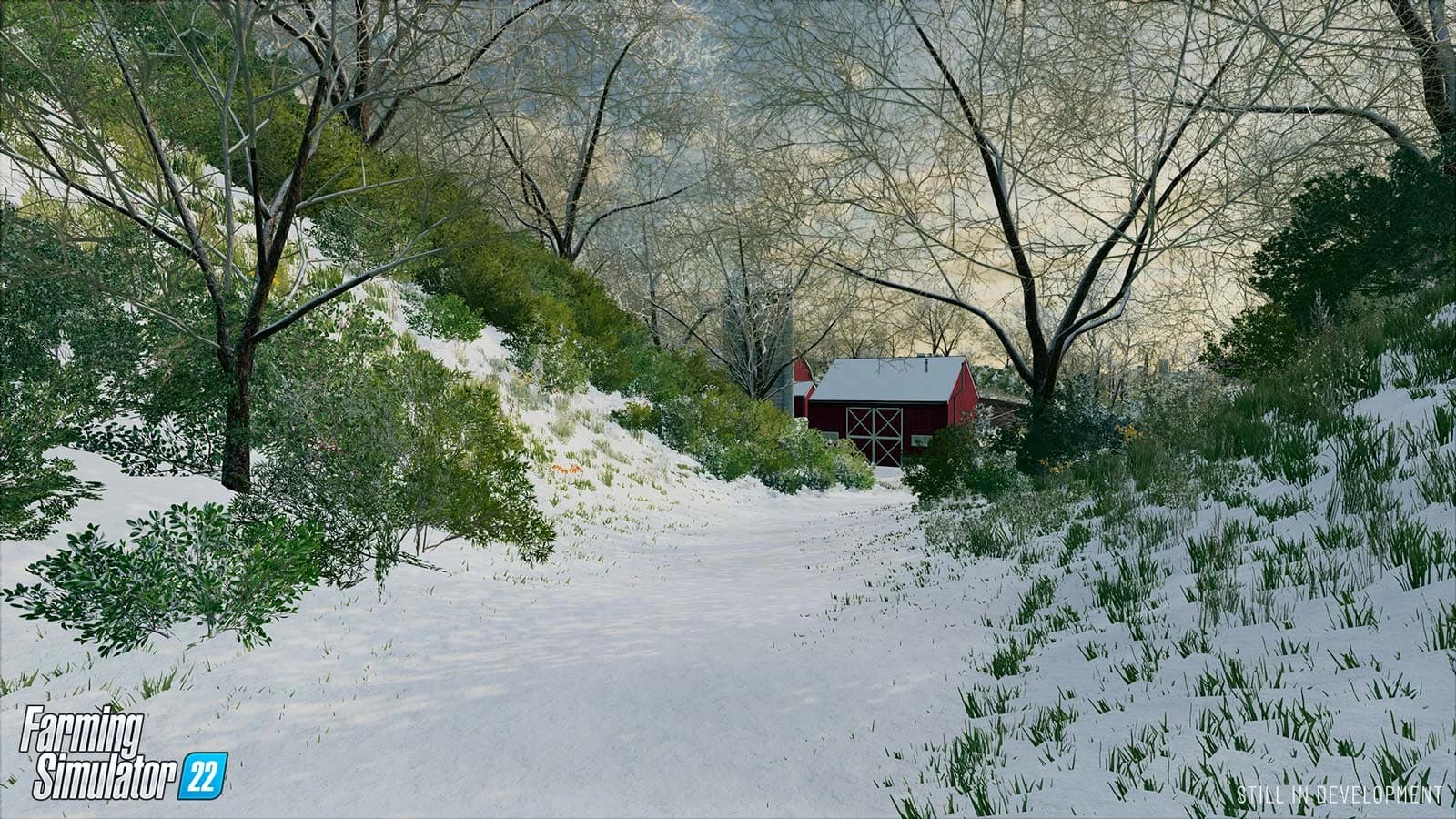 MORE SNOW