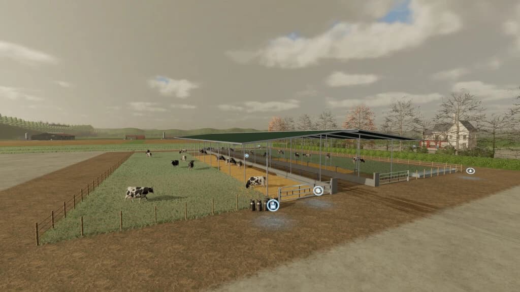 MY COW PASTURE
