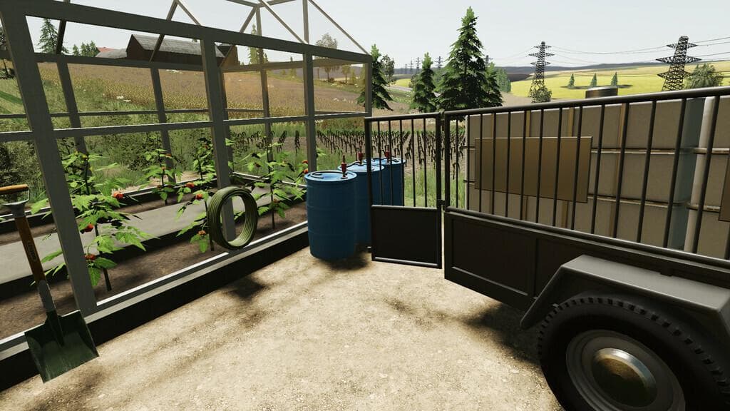 PACK OF POLISH GREENHOUSES WITH TOMATOES