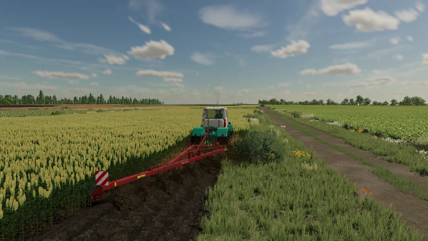 PACK PLN PLOWS