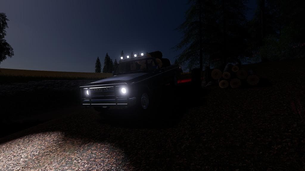 PICKUP RODEO