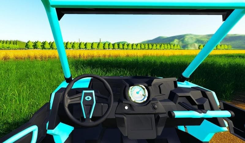 POLARIS RZR