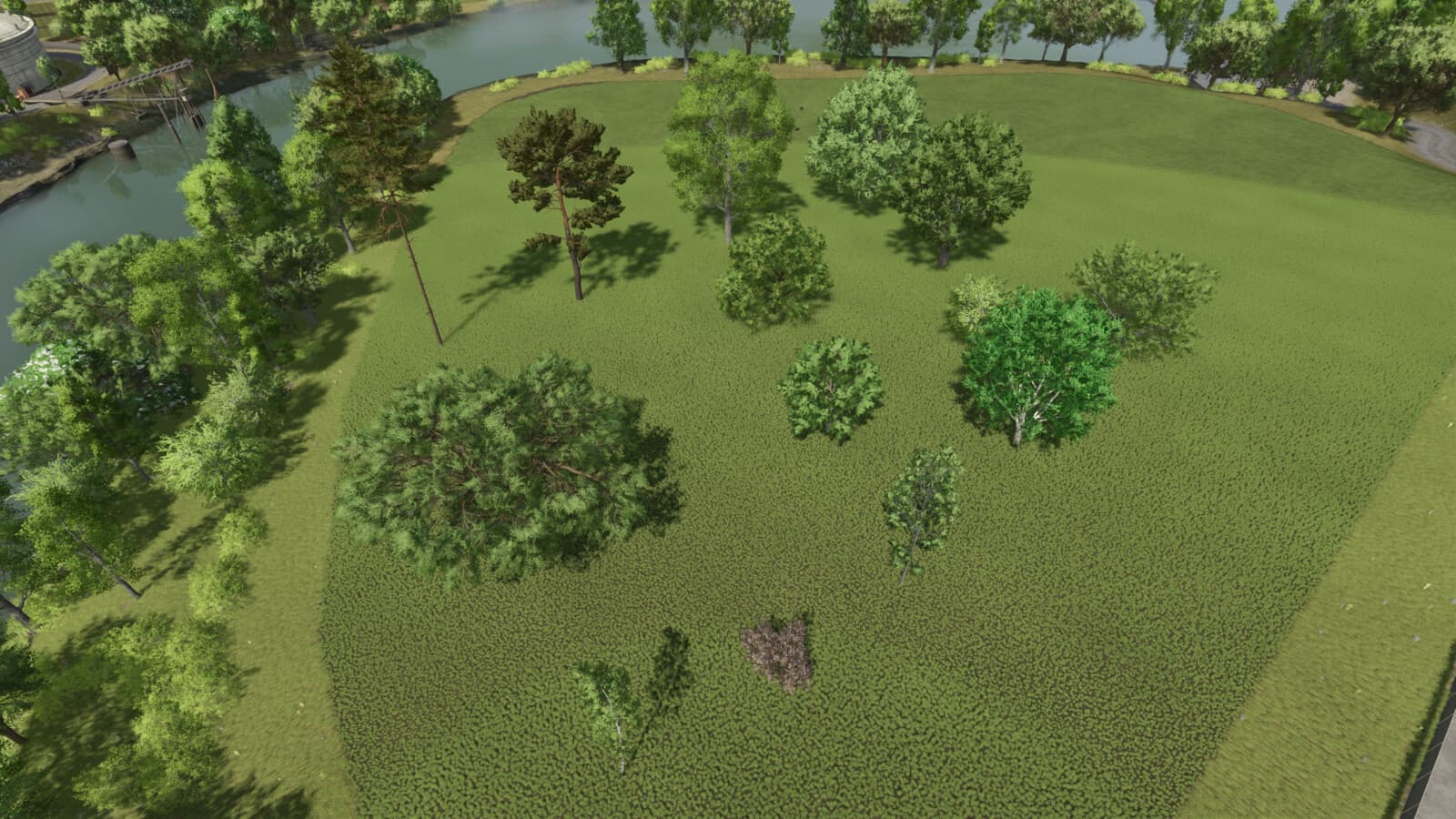 Profit Per Tree