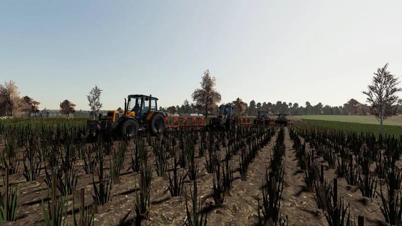 RENAULT PACK TX