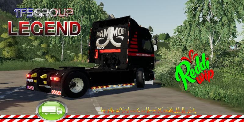 RENAULT PREMIUM MAMMOET